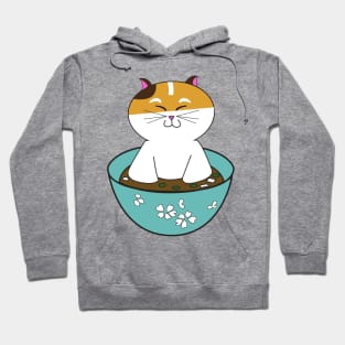 Miso Cat Hoodie